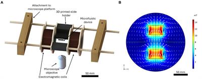 Single-cell magnetotaxis in mucus-mimicking polymeric solutions